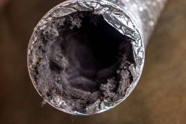 Air Duct Mold Removal in Emerald Lakes, PA